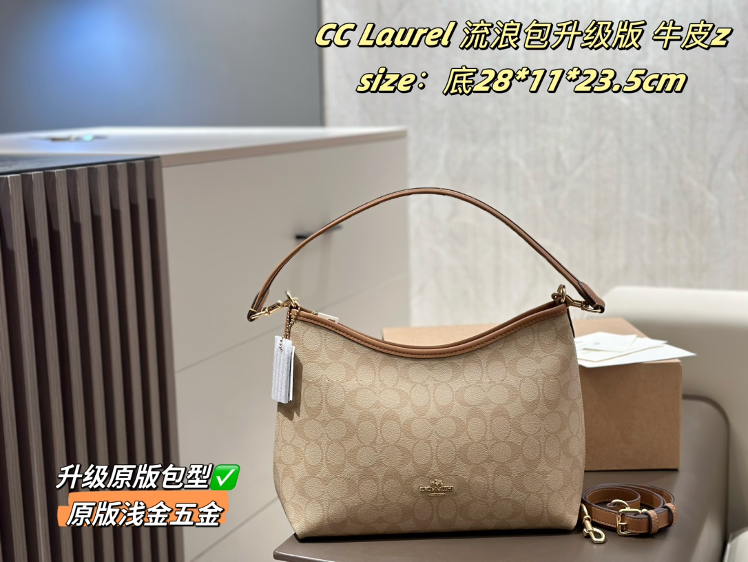 coach bag 232